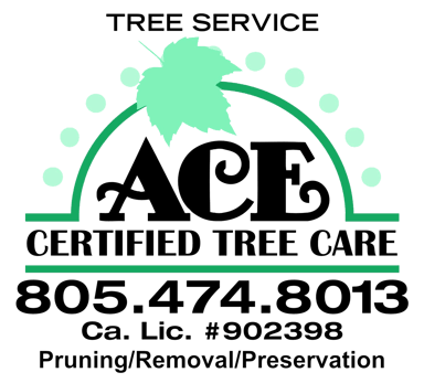 ACE Certified Tree Care Logo