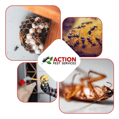 Action Pest Services Logo