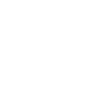 Birch Circle Movers Logo