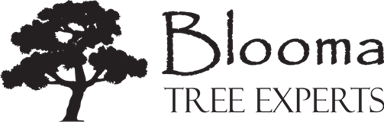 Blooma Tree Experts Logo