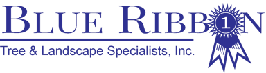 Blue Ribbon Tree & Landscape Specialists, Inc. Logo