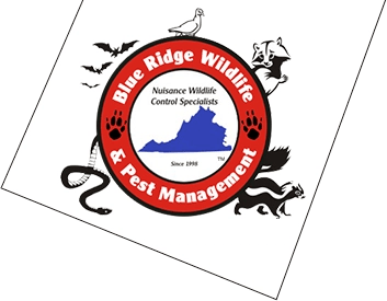 Blue Ridge Wildlife & Pest Management, LLC Logo