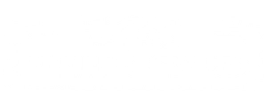 Bos Moving & Service Logo