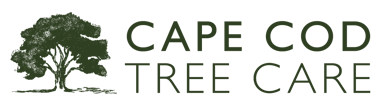 Cape Cod Tree Care Logo