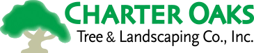 Charter Oaks Tree & Landscaping Co., Inc. Logo