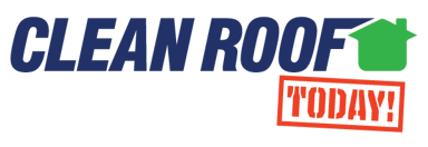 Clean Roof Today LLC Logo