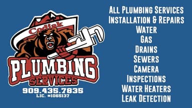 Codiak Plumbing Services - Top Plumber Logo