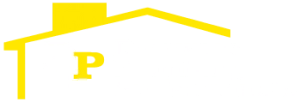 Delaware Plumbing Professionals Logo