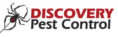 Discovery Pest Control Logo