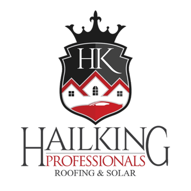 Hail King Professionals Logo