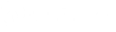 NetEnergy Logo