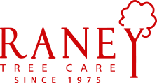 Raney Tree Care Logo
