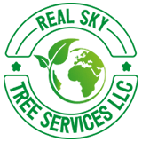 Real sky tree services llc Logo