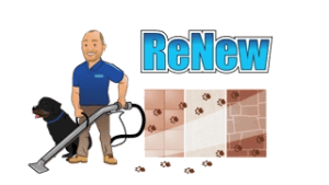 ReNew Carpet & Hard Surface Cleaning Logo