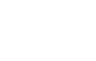 Roof Advance Logo