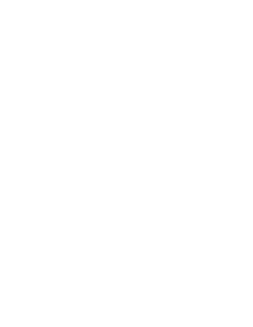 Rural Power and Light Logo