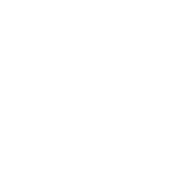 Sewer Surgeon Denton Texas Logo