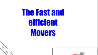 the fast and efficient movers Logo