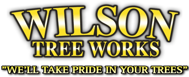 Wilson Tree Works Logo
