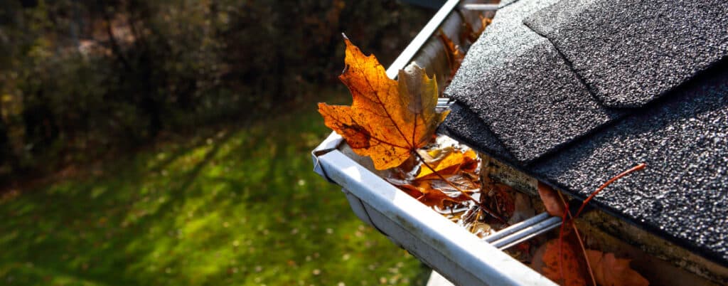 Are Gutter Guards Worth It? Our Testing Says, 