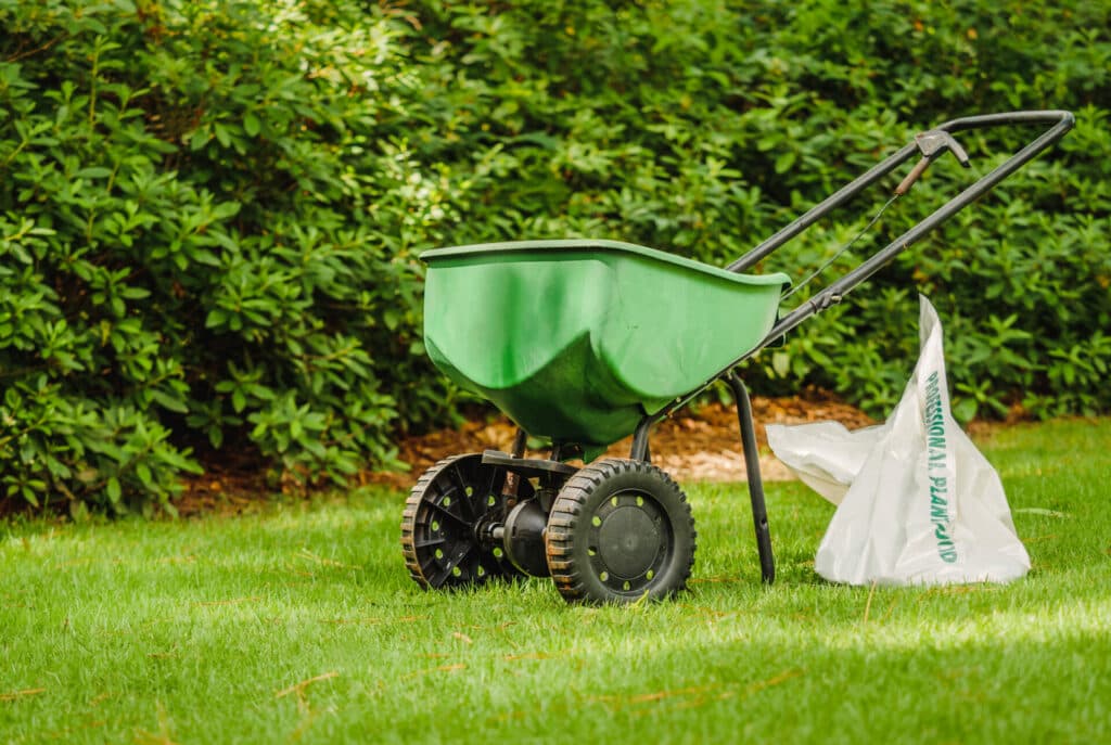 When To Plant Grass Seed in Spring (2024 Guide)