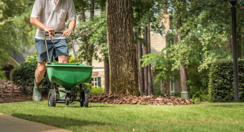 When to fertilize your lawn: Best tips for green grass