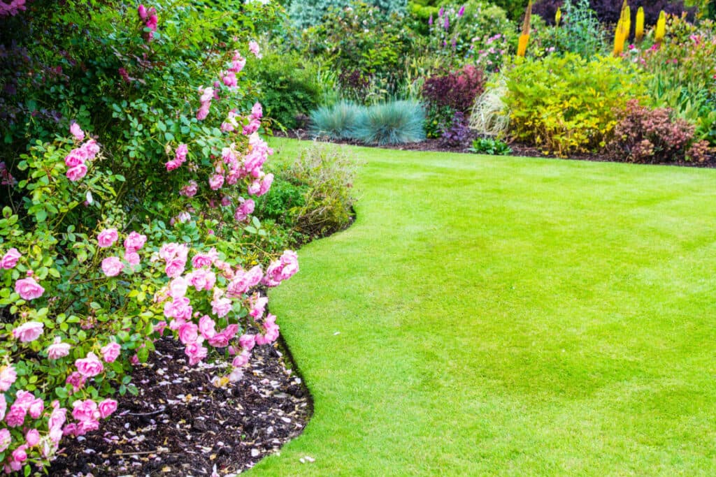 7 Spring Lawn Care Tips