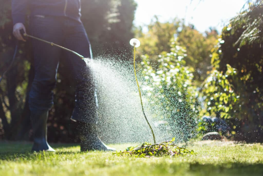 A Comprehensive Guide to Lawn Weed Killer