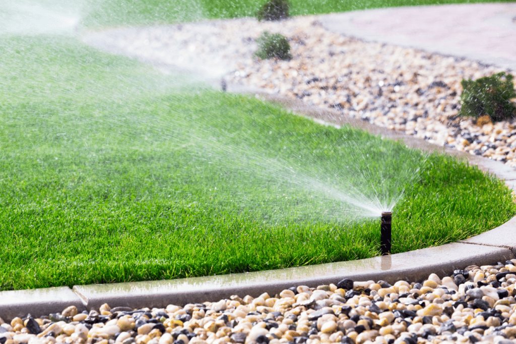 How Long to Water Your Lawn