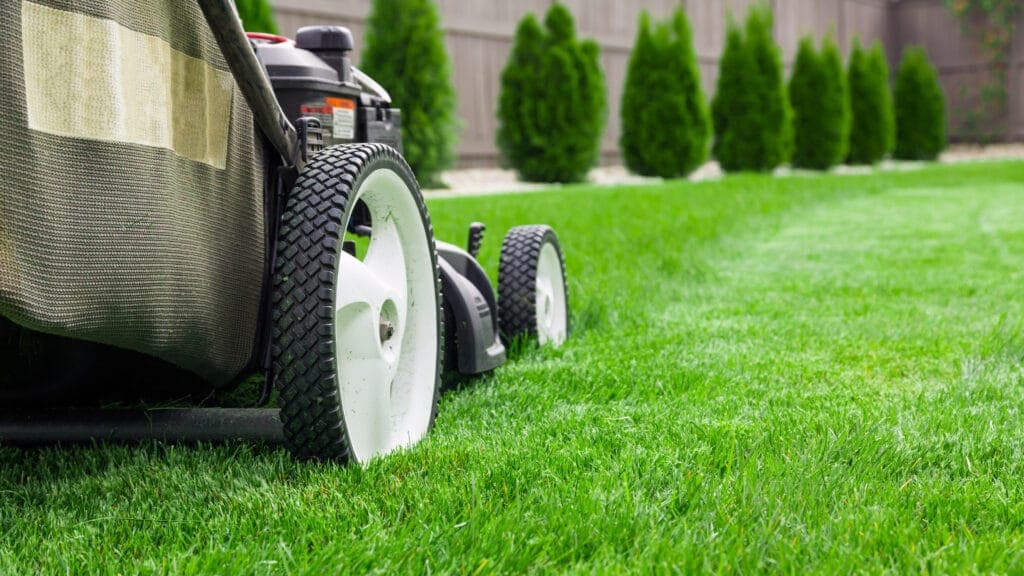 How to Repair and Improve Your Lawn