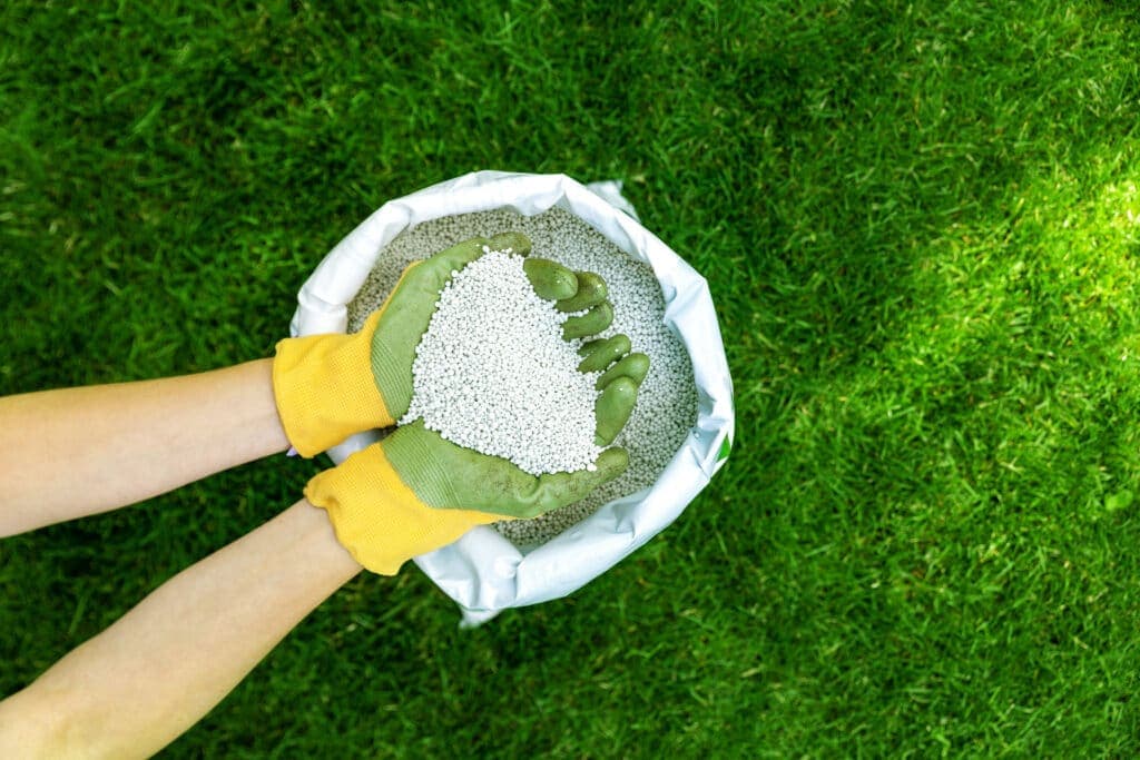When Should You Fertilize Your Lawn? (2024 Guide)