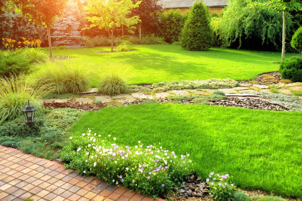 How Much Does Lawn Care Cost?