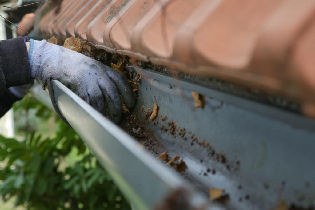 How To Clean Gutters (2024 Guide)