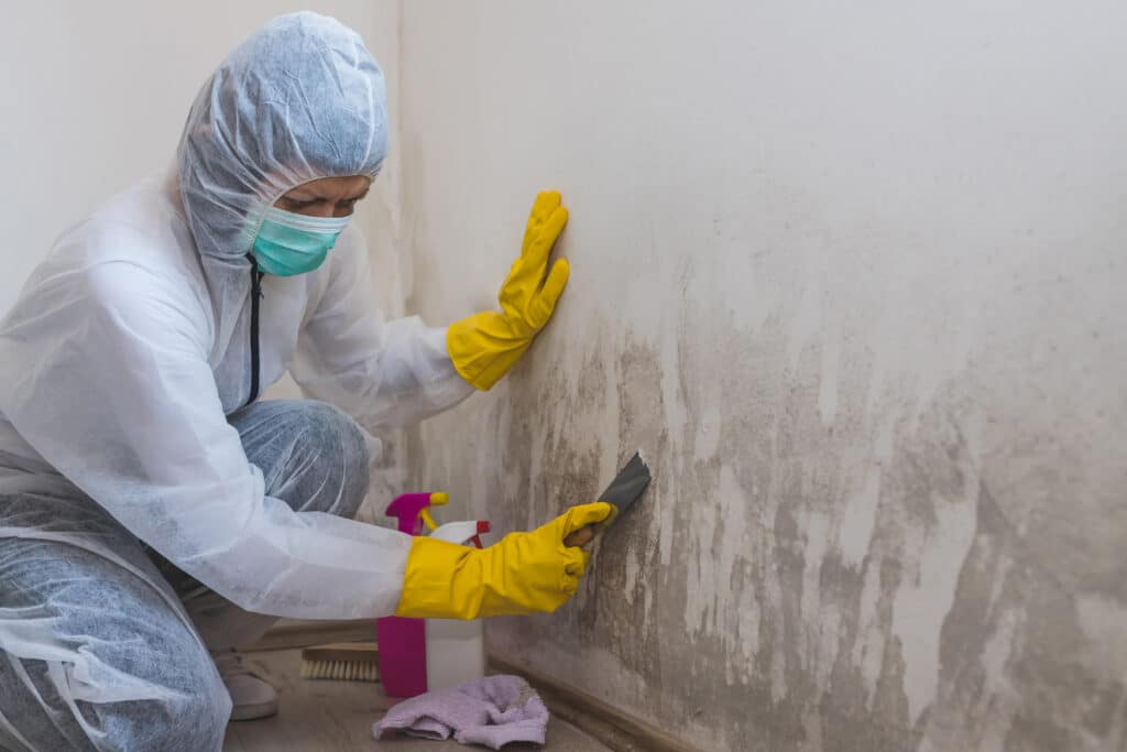 How Much Does Mold Remediation Cost? (2024 Guide)