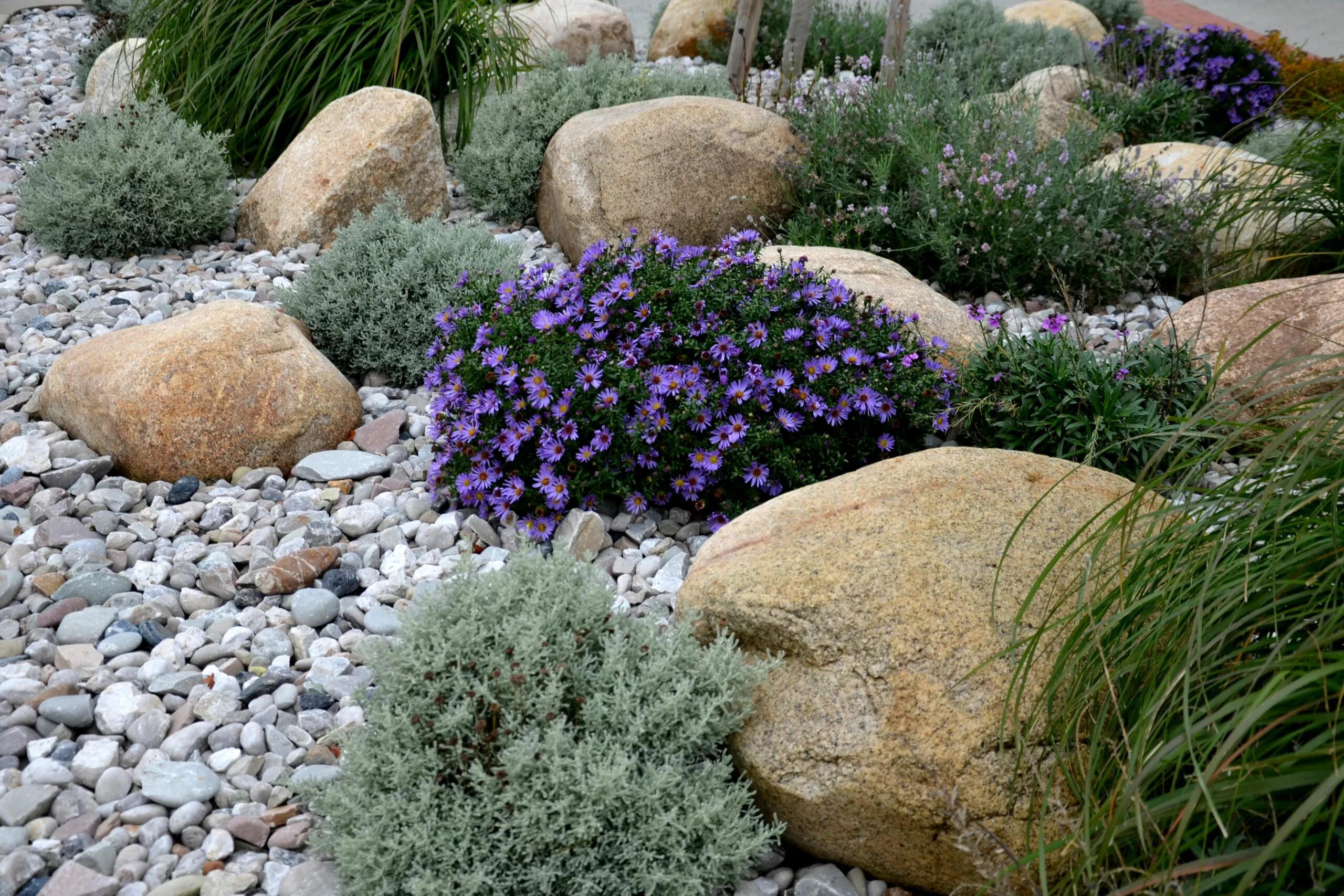 Types of Landscaping Rocks and How to Use Them